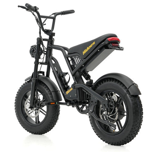 Hidoes B6 MINI Electric Bike 250W 48V 10.4Ah 16" Fat Tyre E-Bike Dual Suspension