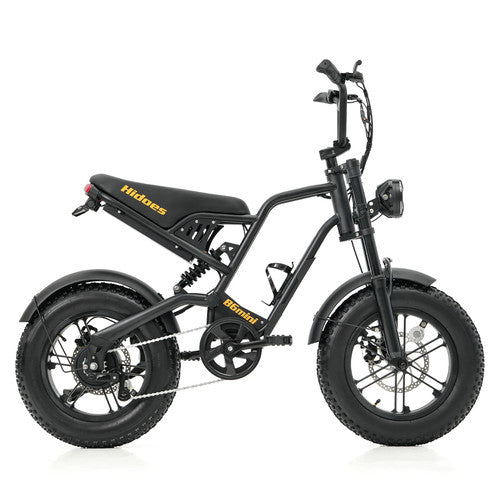 Hidoes B6 MINI Electric Bike 250W 48V 10.4Ah 16" Fat Tyre E-Bike Dual Suspension
