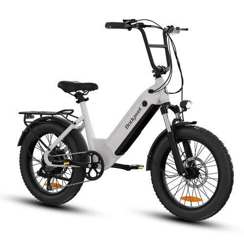 Bodywel F20 Electric Dirt Bike 20" 250W Mountain E Bike 48V 13Ah Long Range UK
