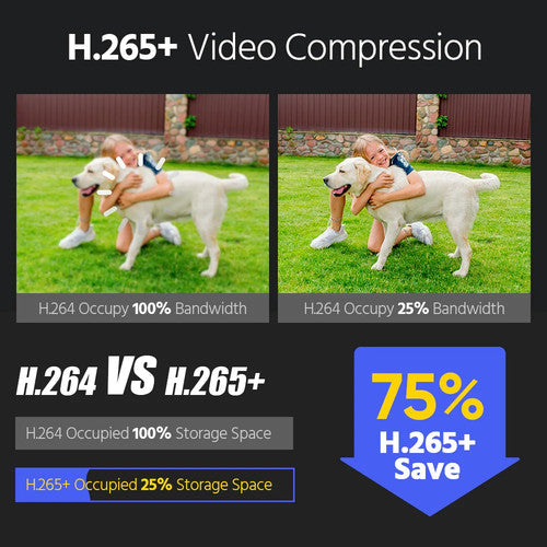ANNKE C1200 12MP Dual Light Network Camera IP67 Waterproof CCTV Security UK