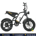 Hidoes B6 MINI Electric Bike 250W 48V 10.4Ah 16" Fat Tyre E-Bike Dual Suspension