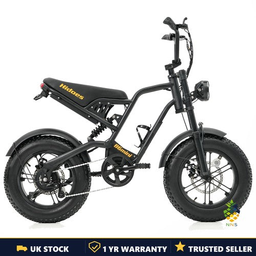 Hidoes B6 MINI Electric Bike 250W 48V 10.4Ah 16" Fat Tyre E-Bike Dual Suspension
