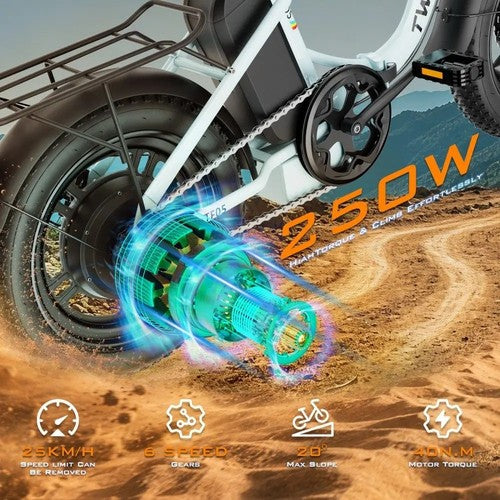 TWOFISH TF05 Folding Electric Bike 250W 48V 13Ah 16in Fat Tyre Adult E-Bike UK