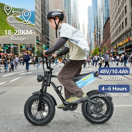 Hidoes B6 MINI Electric Bike 250W 48V 10.4Ah 16" Fat Tyre E-Bike Dual Suspension