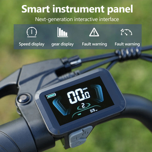 Hidoes B6 MINI Electric Bike 250W 48V 10.4Ah 16" Fat Tyre E-Bike Dual Suspension