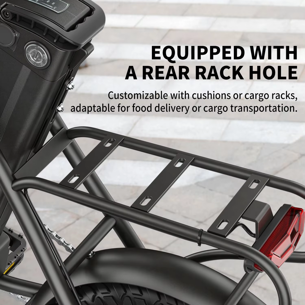 Hidoes C5 Folding Electric Bike 250W 36V 14" Mini E-Bike 25km/h Commuter 30KM UK