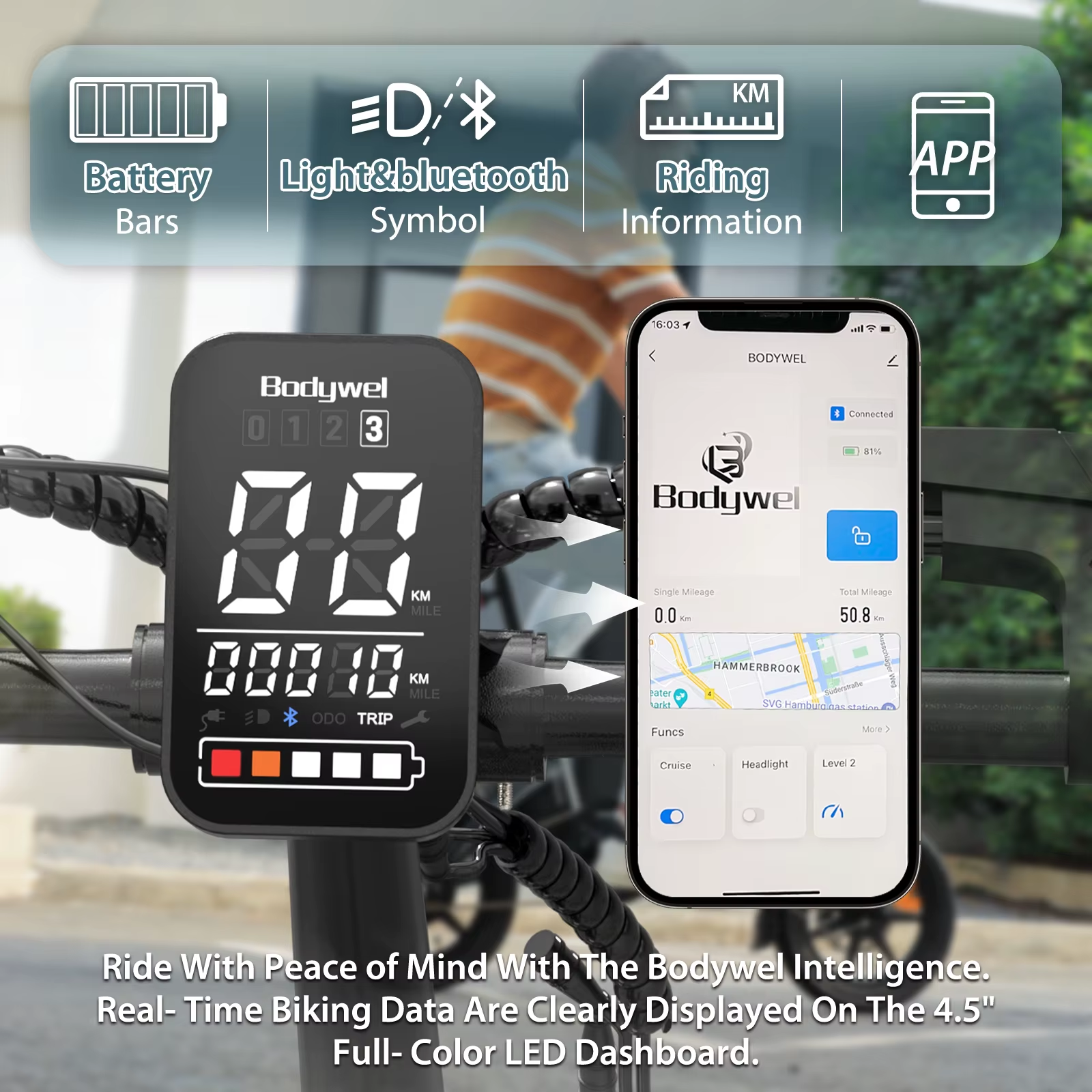Bodywel T16PRO 14" Foldable Electric Bike 250W 36V City E-Bike Commuter 50KM UK