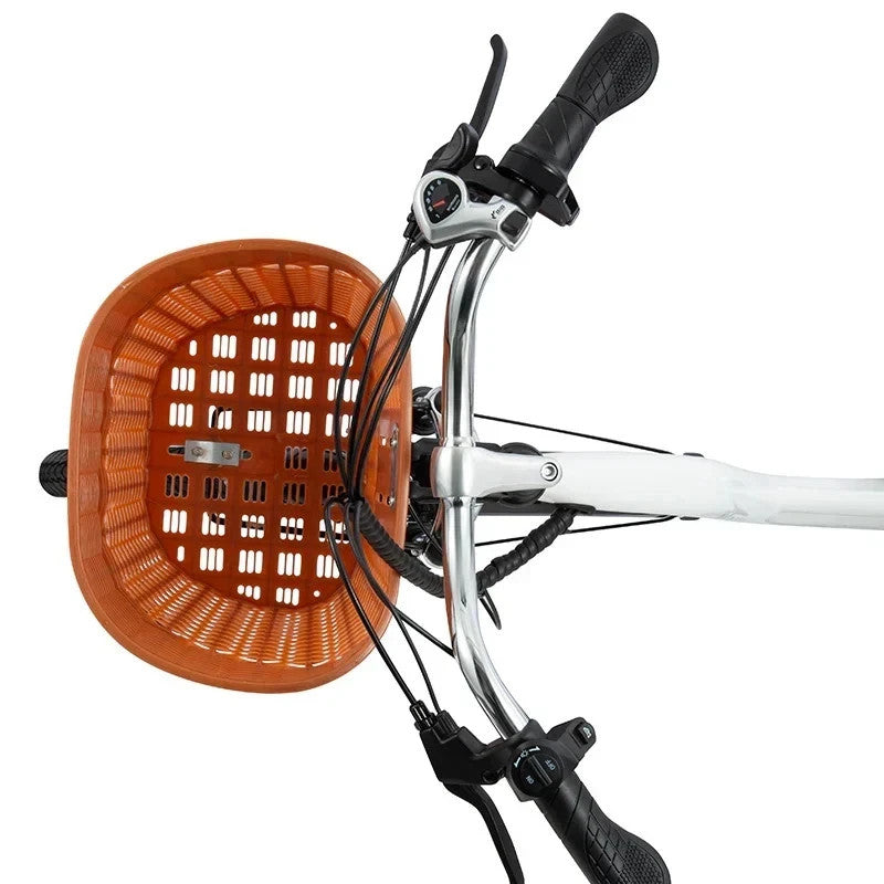 DYU C6 26" Electric Bike 250W 36V E-City Bike 25km/h 6 Speed 70KM Range