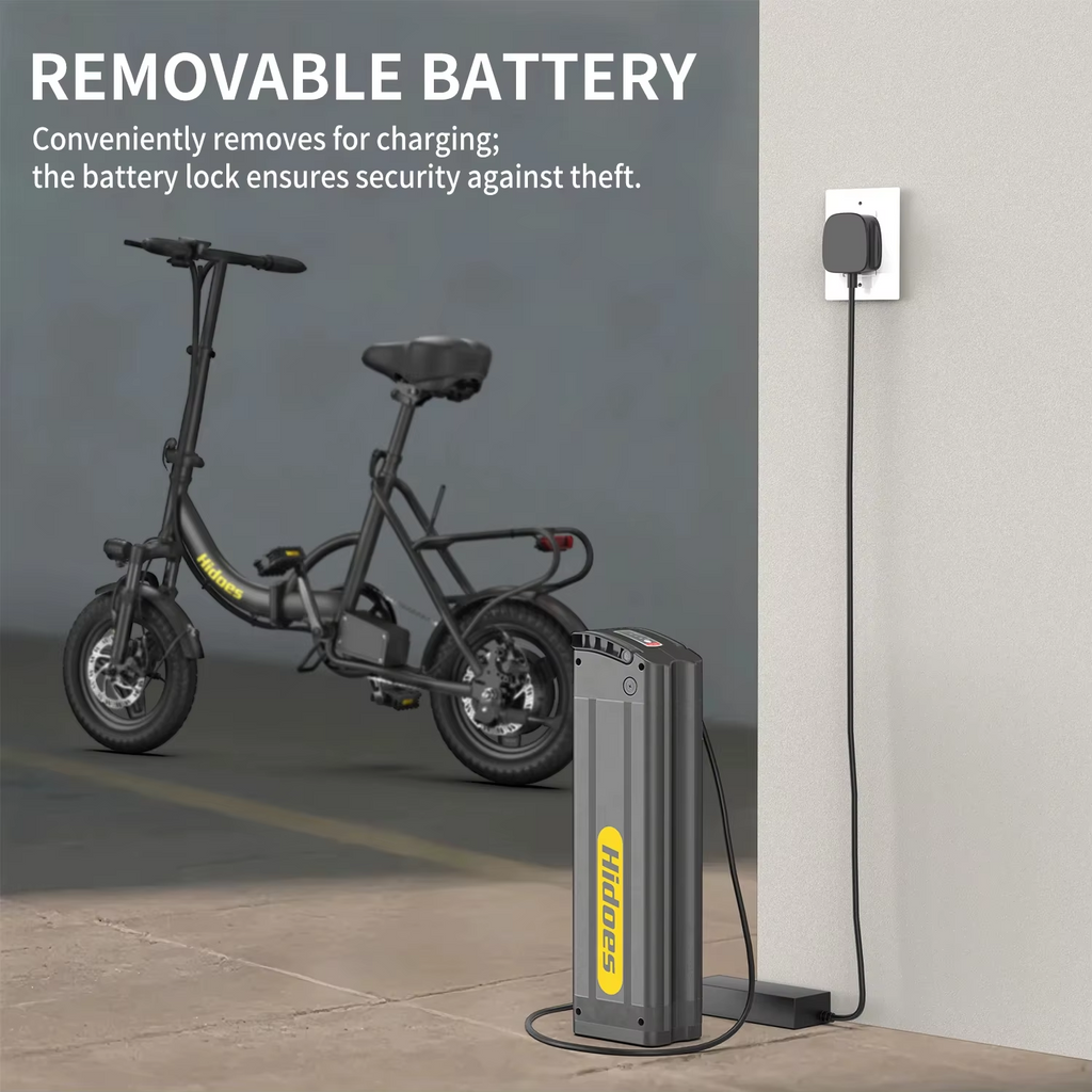Hidoes C5 Folding Electric Bike 250W 36V 14" Mini E-Bike 25km/h Commuter 30KM UK