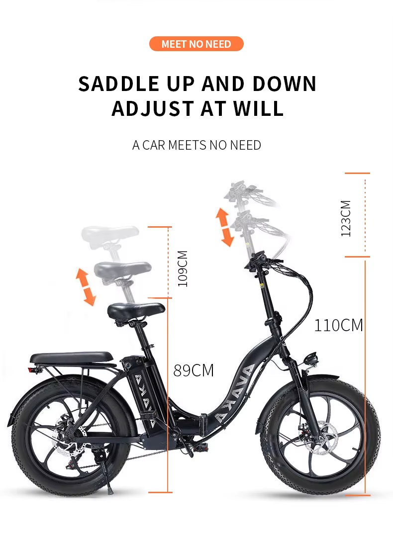 AVAKA BZ20PLUS Folding Electric Bike 250W 48V 18.2Ah 20” Fat Tyres City e-Bike