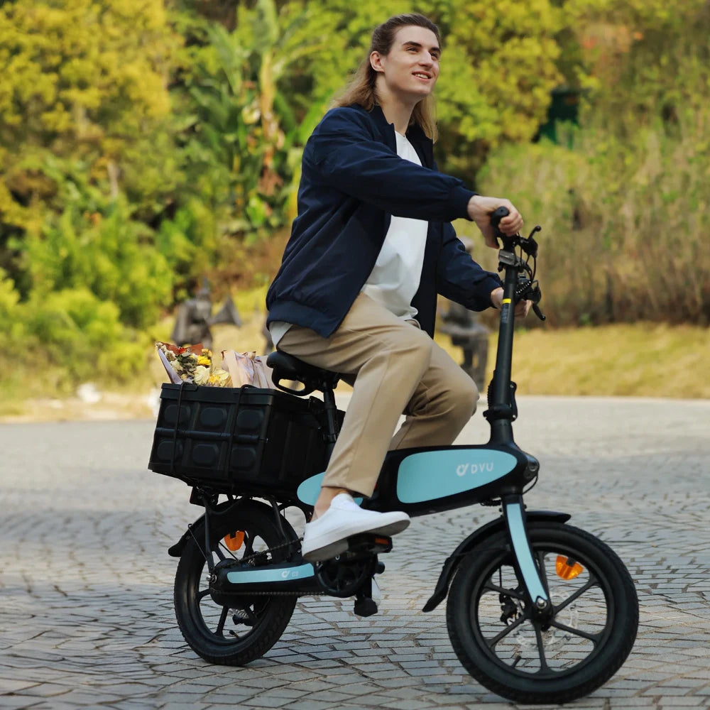 DYU C2 16inch Folding Electric Bike 250W 36V 7.5Ah ECity Bike 25kmh NONE